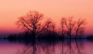 足球盛事冠军联赛：命运的罗盘，豪门逐鹿谁能独占鳌头？