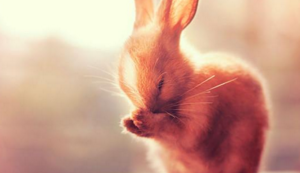 浴火重生，川军剑指未来：一场失利的洗礼与蜕变